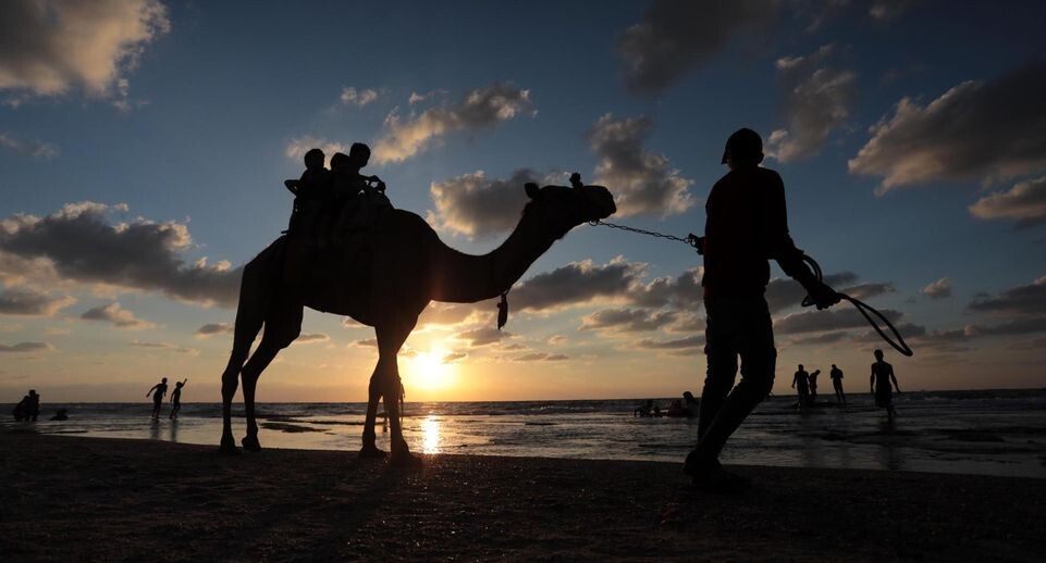    Ashraf Amra/Keystone Press Agency / www.globallookpress.com