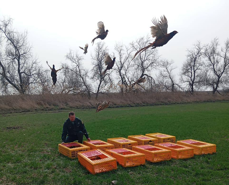    Фото: пресс-служба Минприроды Краснодарского края