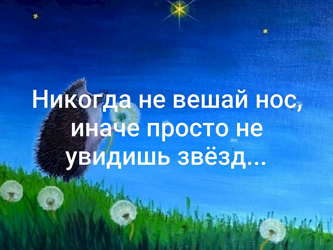 Улыбнулась и пошла дальше!