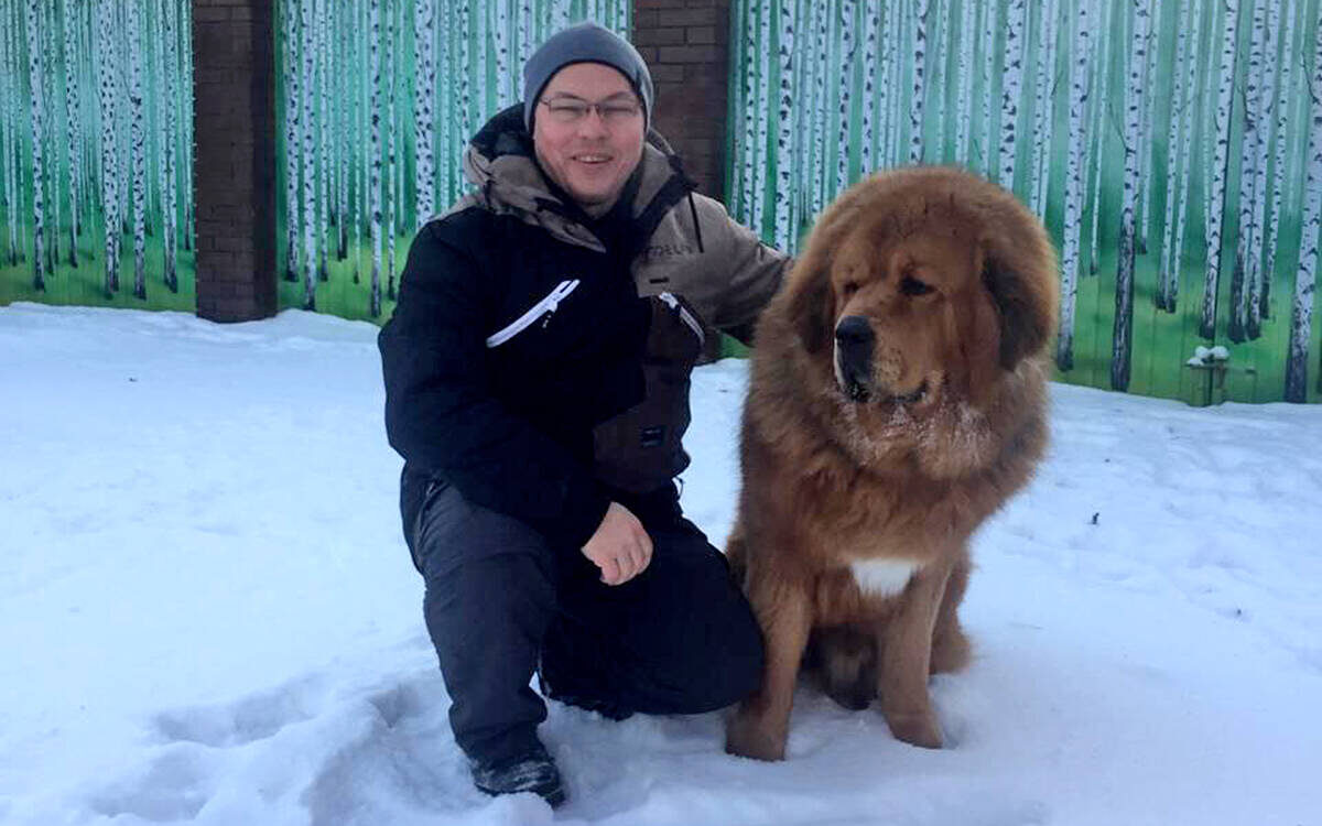 Кинолог Денис Александров дал несколько советов, как вести себя с бездомными собакамиФото: © предоставлено Денисом Александровым