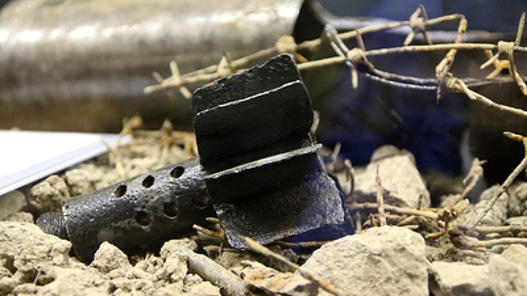    Фото: Maksim Konstantinov/Globallookpress