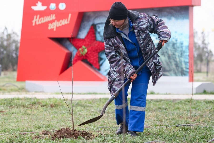     / Источник: © Сергей Мальгавко/ТАСС