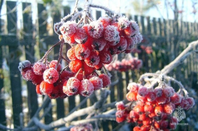    ГУ МЧС по Краснодарскому краю