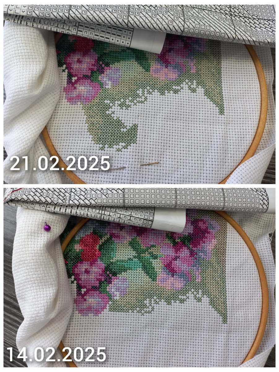 Фрагмент вышивки по набору от фирмы Панна Ц-1184 "Флоксы"