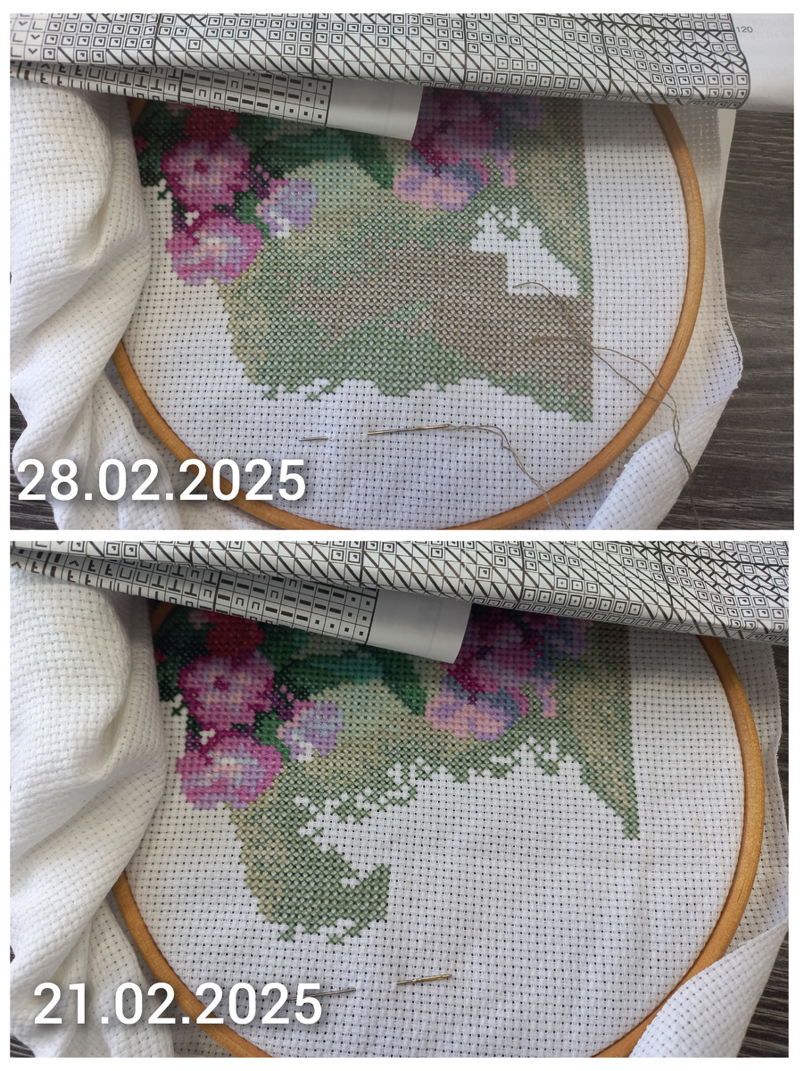 Фрагмент вышивки по набору от фирмы Панна Ц-1184 "Флоксы"