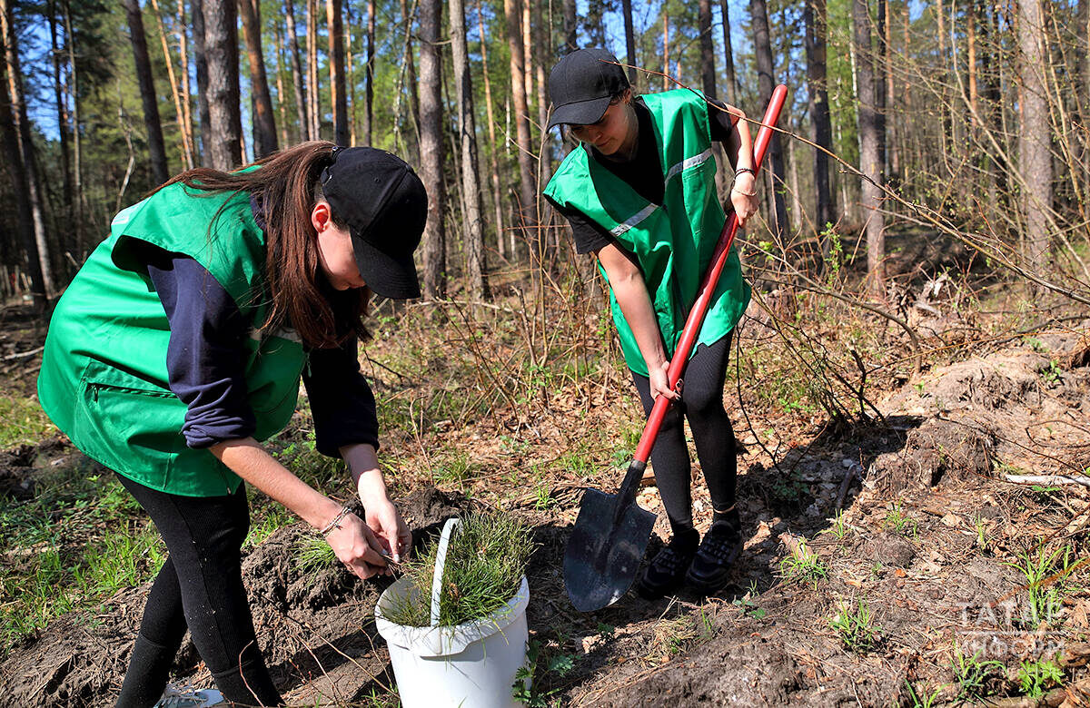 Фото: © «Татар-информ»