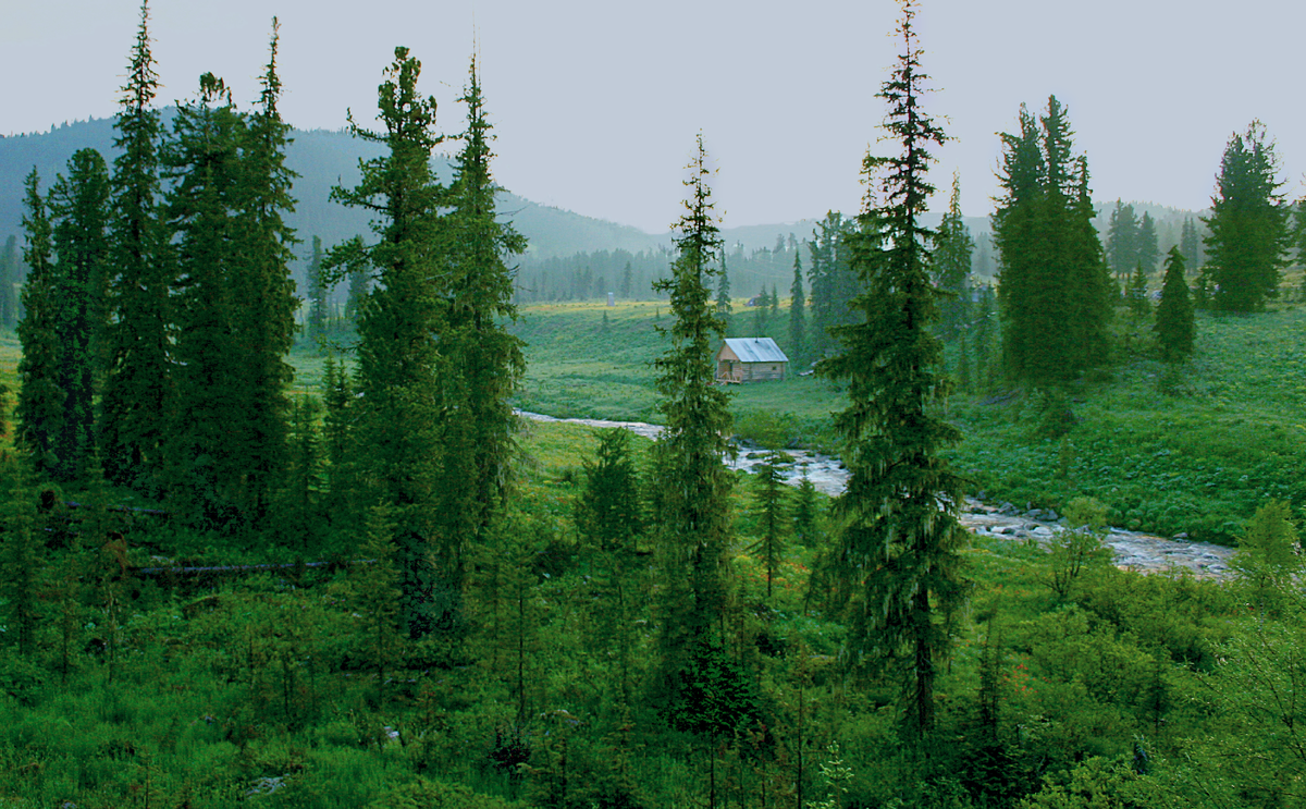 Фотография, стихотворение Василия Глуцкого