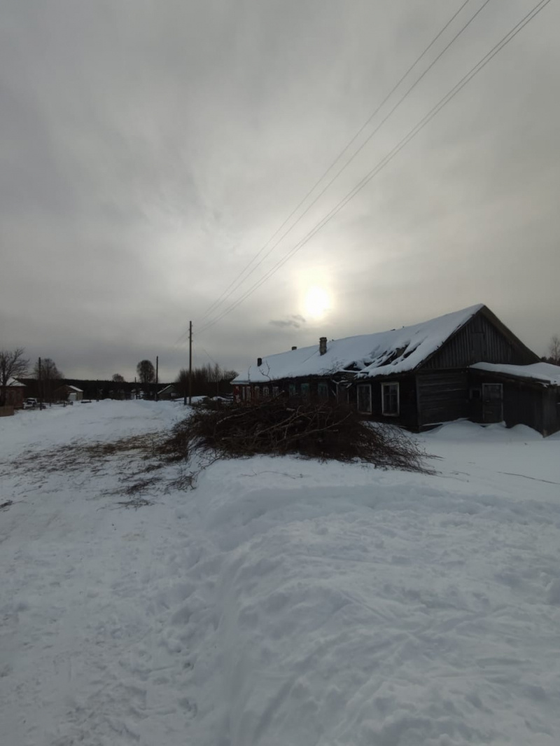    Цеплявшиеся за провода деревья спилили в Карелиисоцсеть Татьяны Тишковой