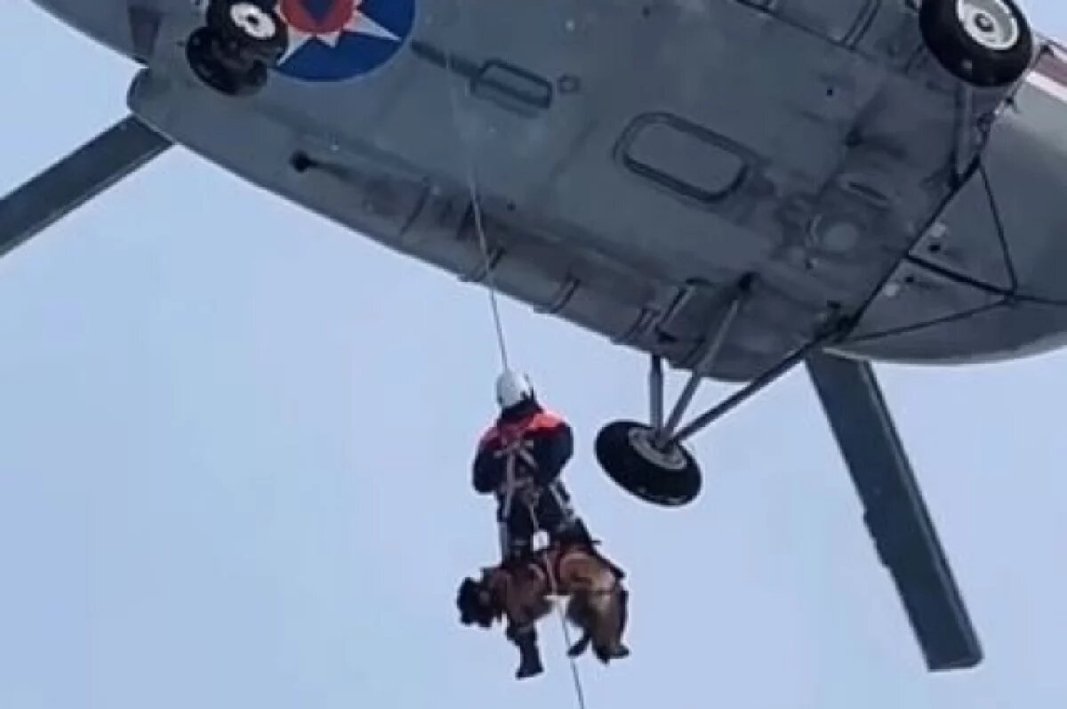    В Ноябрьске прошли Всероссийские командно-штабные учения экстренных служб