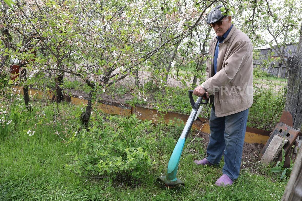    Никакие дополнительные налоги на хозпостройки на дачном участке не предусмотрены.