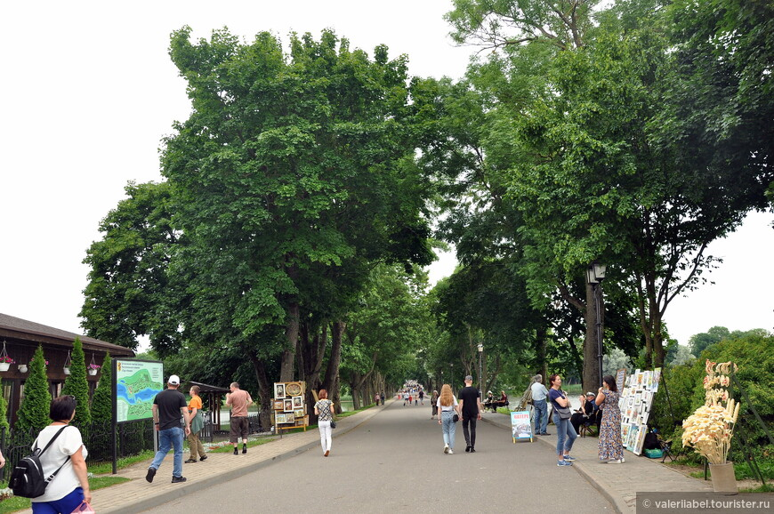 Аллея, ведущая к замку © Валерия Белоусова