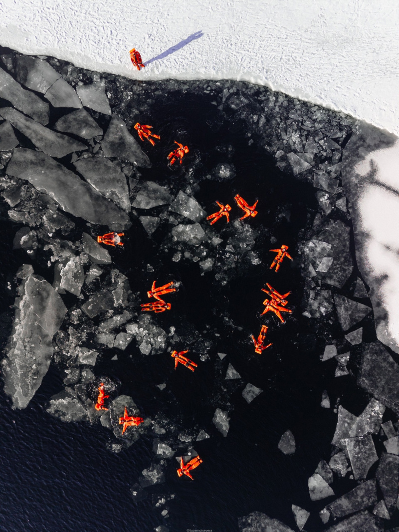    Тюлени присоединились к купающимся в Белом море туристам"Мурманск туры/Териберка/Кильдин/Polar Fox" / VK