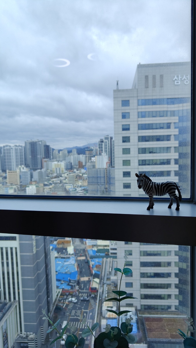 г.Тэгу с высоты 20го этажа