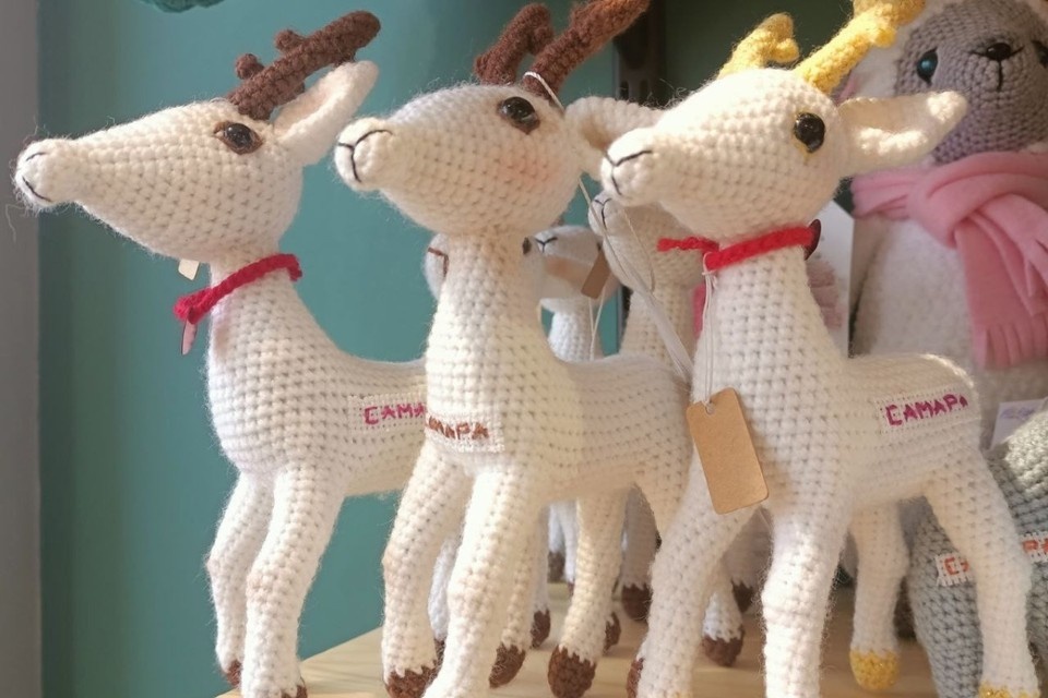    В бренд региона белую козочку решили превратить совсем недавно. Татьяна ПЕТУНИНА