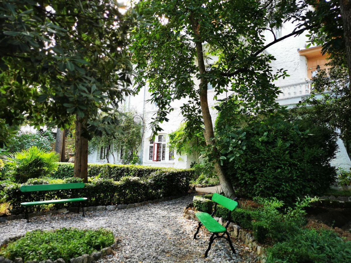 Дом А.П. Чехова в Ялте. Сад