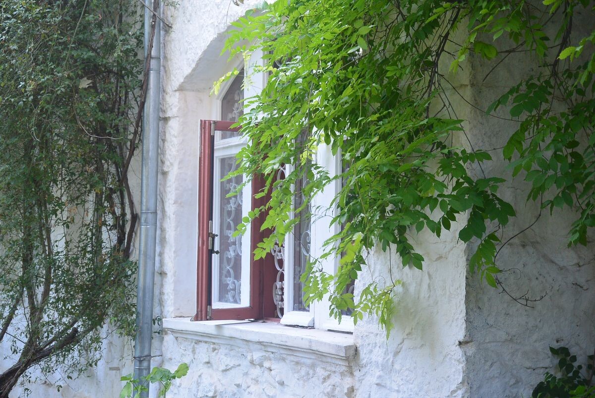 Дом А.П. Чехова в Ялте. Фрагмент