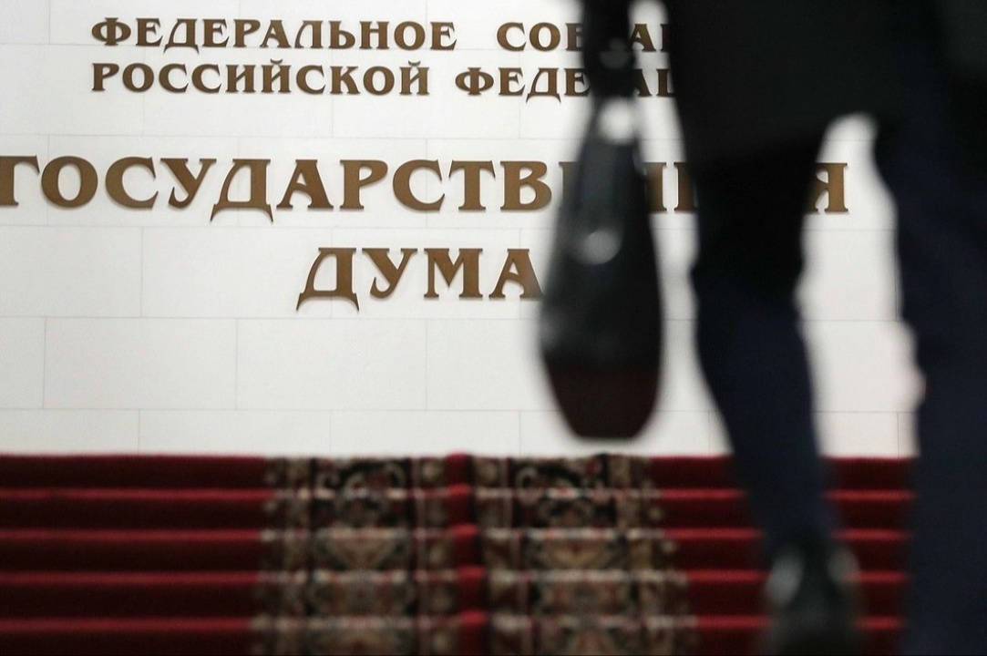    Госдума отметила неисполнение поручений Путина по вопросу о бездомных животных