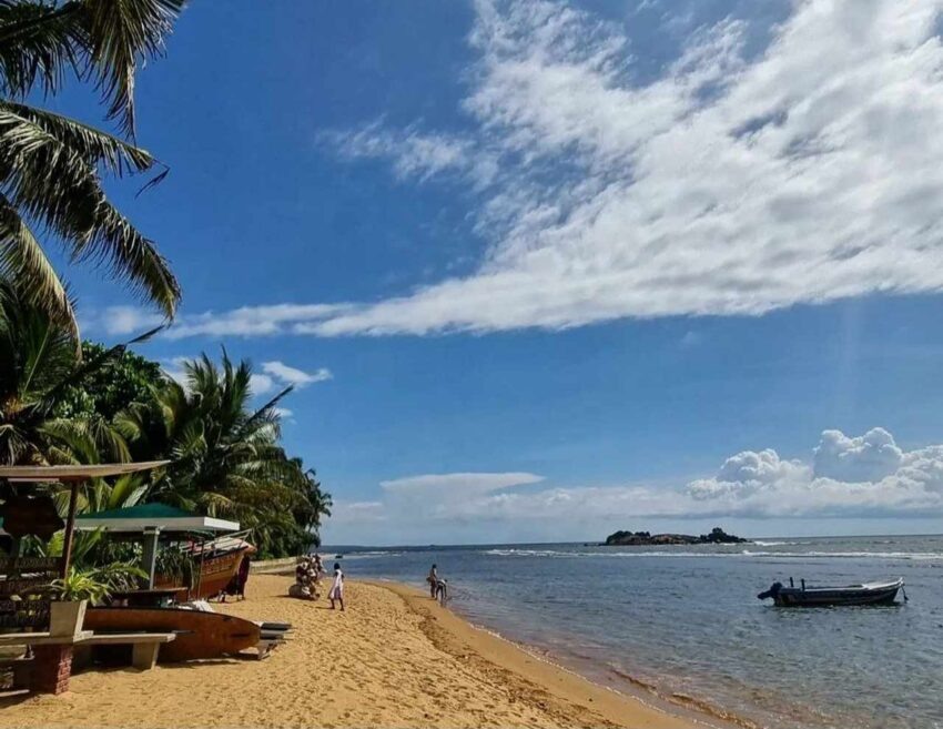    Светлана Емельянова.