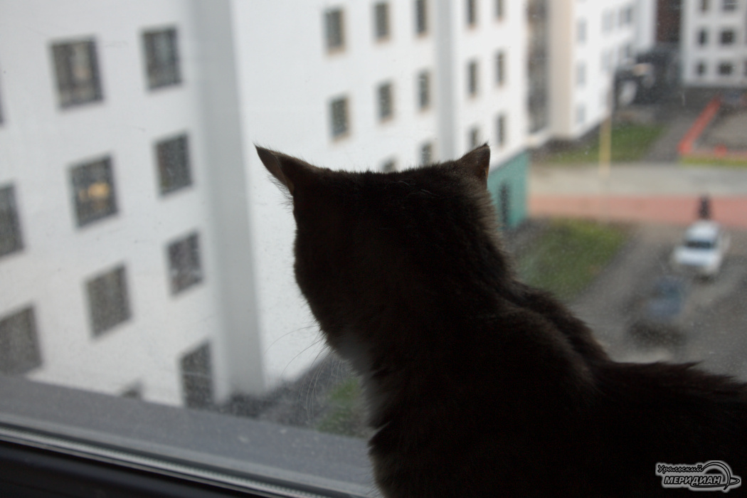    Фото Ольга Аникина © ИА «Уральский меридиан»