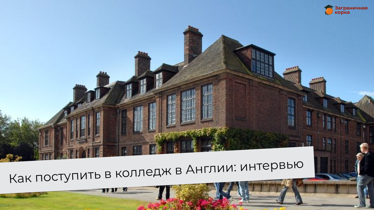 Колледж Маши 