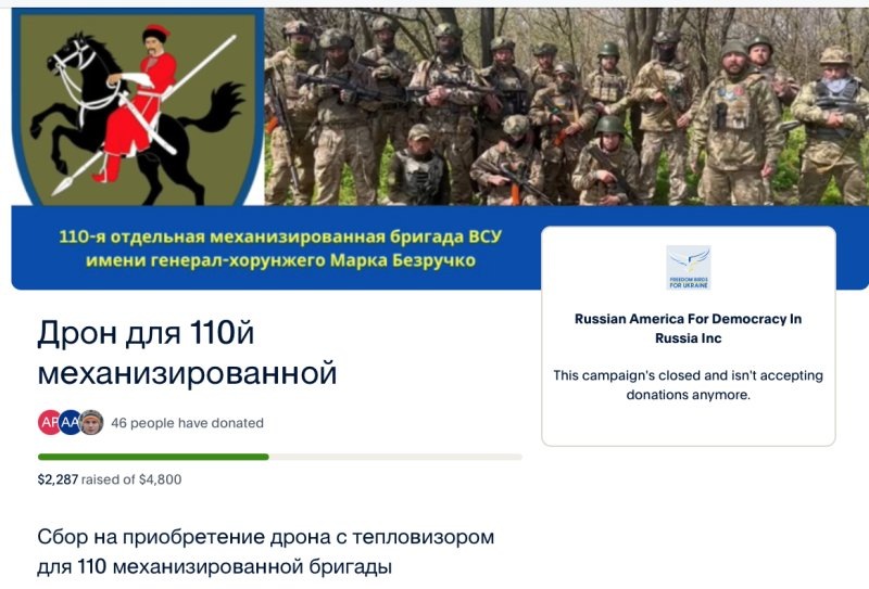 Коллаборационисты (в красном круге) Игорь Слабых и семья покемонов Валуевых