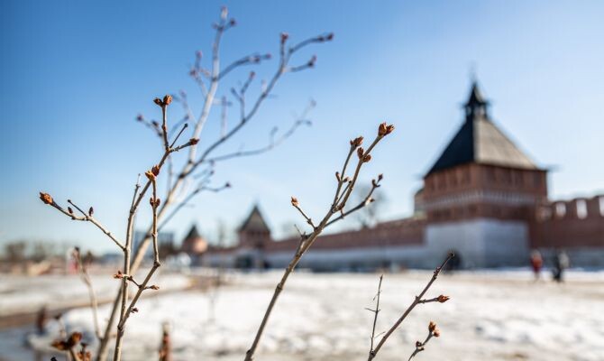 Автор: Первый Тульский
