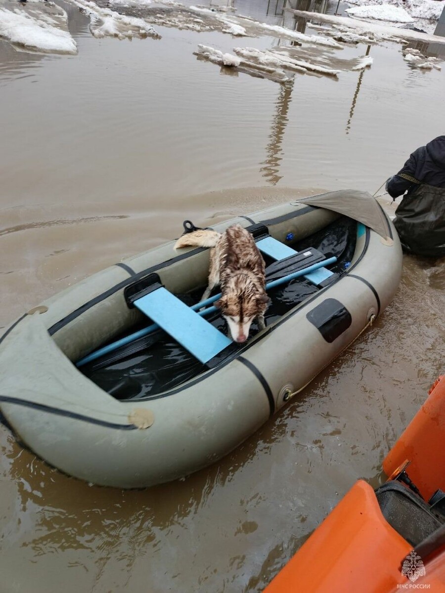    Паводок в Челябинской области. Источник: МЧС Челябинской области
