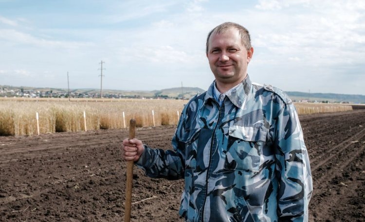    Яровому ячменя понравились российские биопрепараты с триходермой
