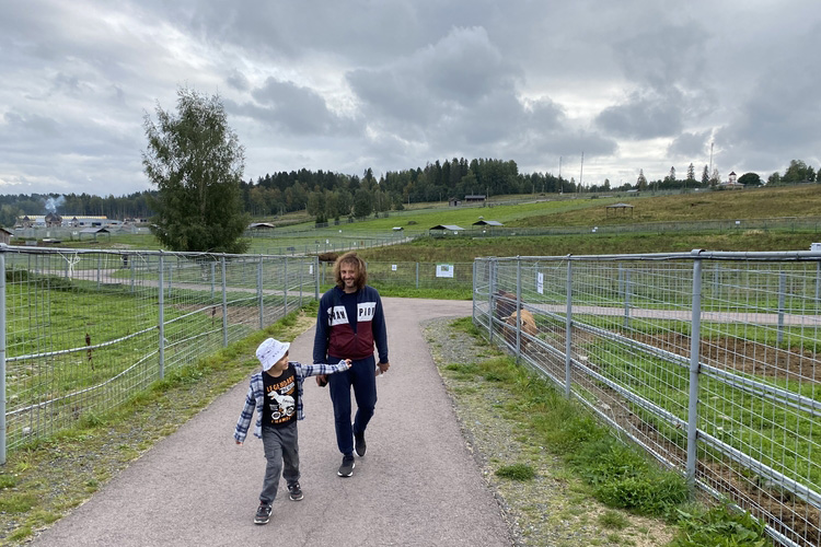 Территория зоопарка