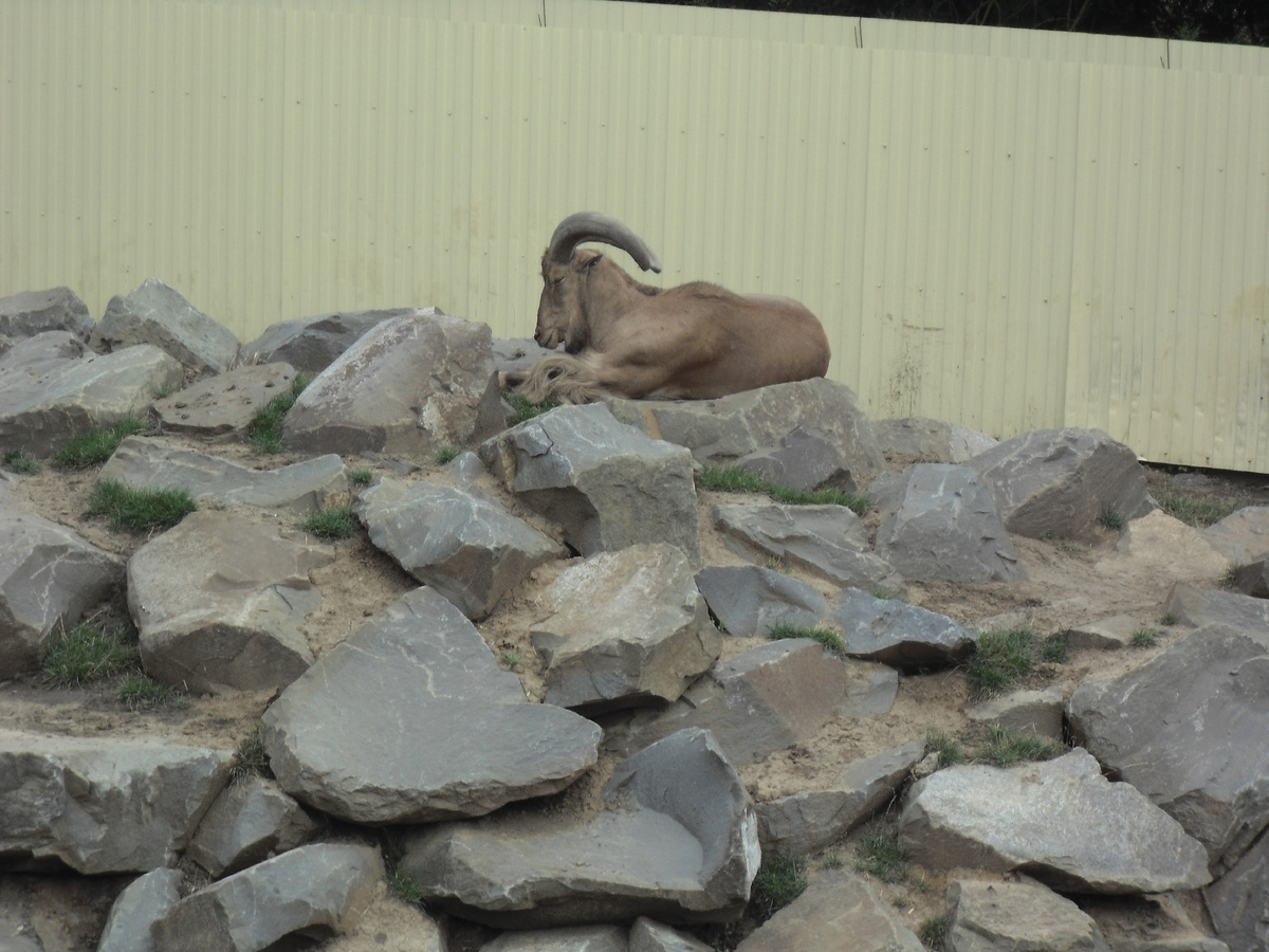 Если вы чувствуете себя, как герой этой фотографии, то наши советы вам помогут превратиться обратно в человека