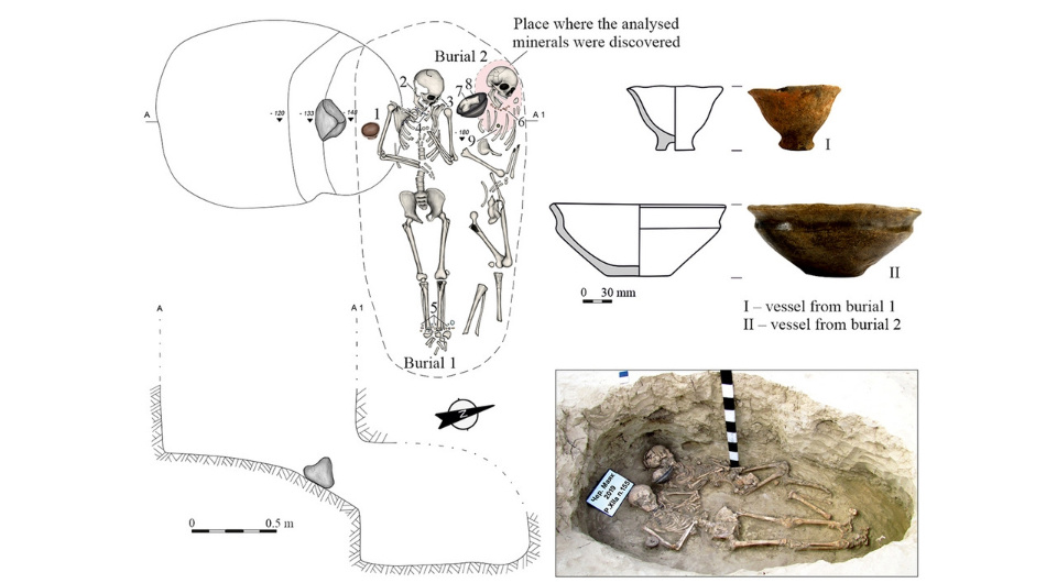   Olena Dzneladze et al. / Antiquity, 2025