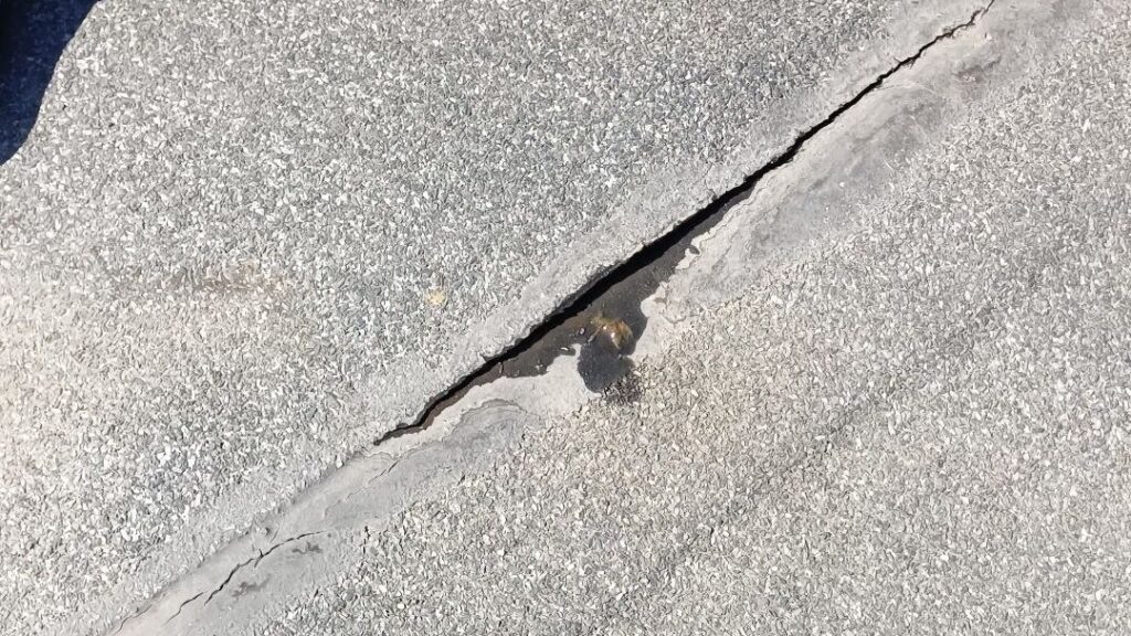 Недостатки рулонной кровли
