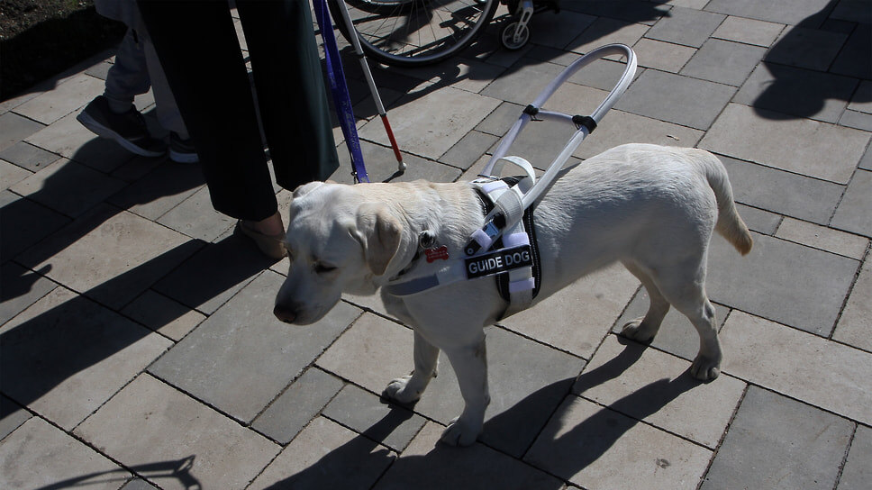 Фото: Юрий Стрелец / Коммерсантъ