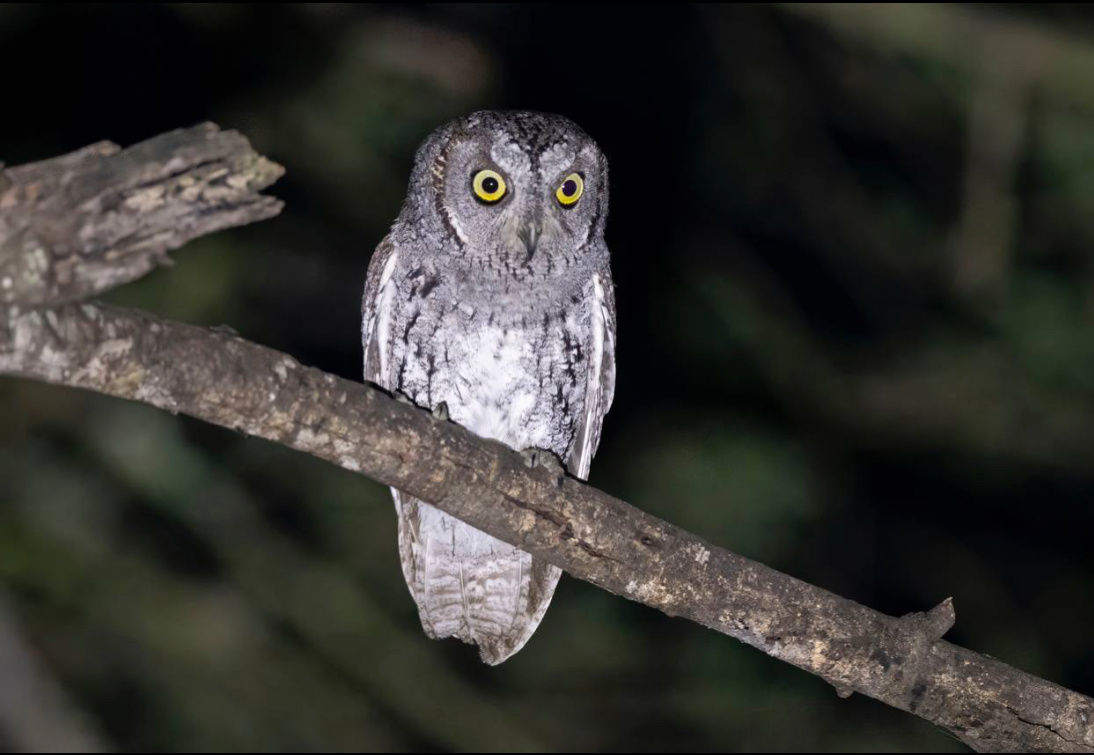 Автор фото-япавел Шуков