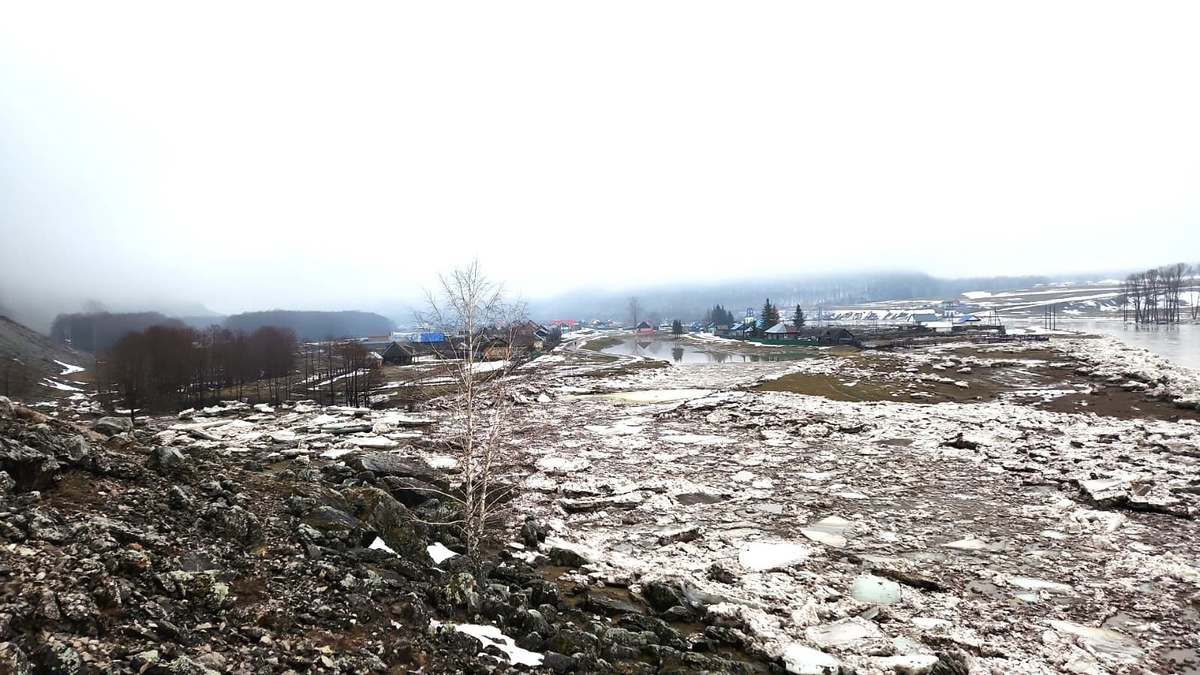    Фото: t.me/vfvakhitov