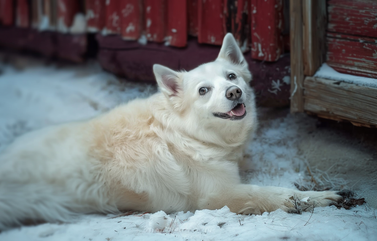    Сгенерировано в Midjourney/NEWS.ru