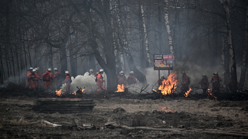    Фото: © РИА Новости/Рамиль Ситдиков; 5-tv.ru