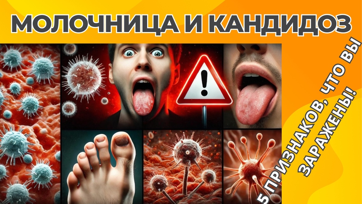 Изготовлено автором