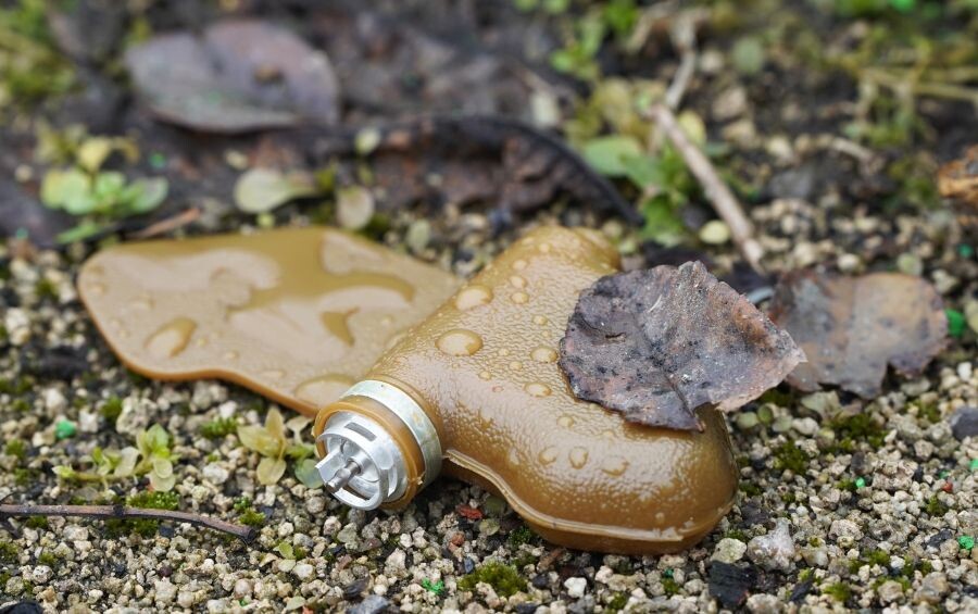     / Источник: © Сергей Батурин/РИА Новости