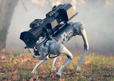    Южная Корея и США готовятся атаковать бункер Ким Чен Ына робособаками