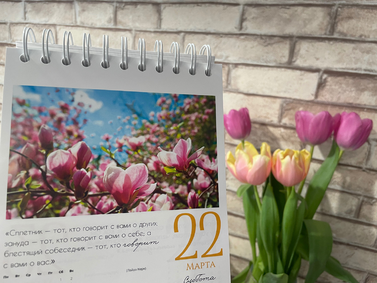 Итак, приступаем к анализу