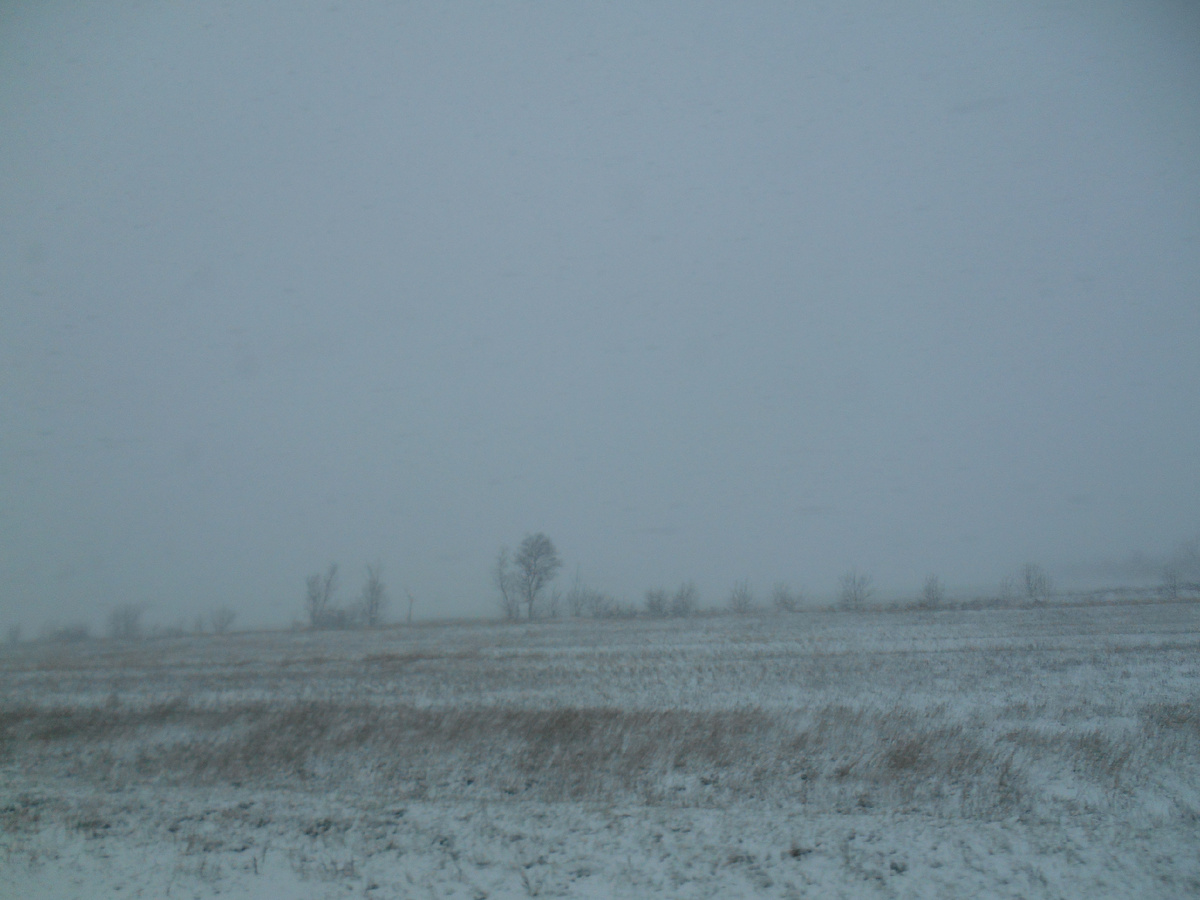 По дороге в районнный центр. Еду оформлять покупку крымского домика.