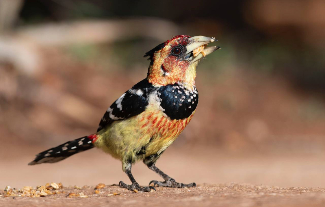 Автоп фото-Павел Шуков