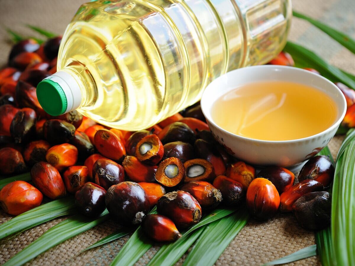    Пальмовое масло© Depositphotos.com / tristantan71
