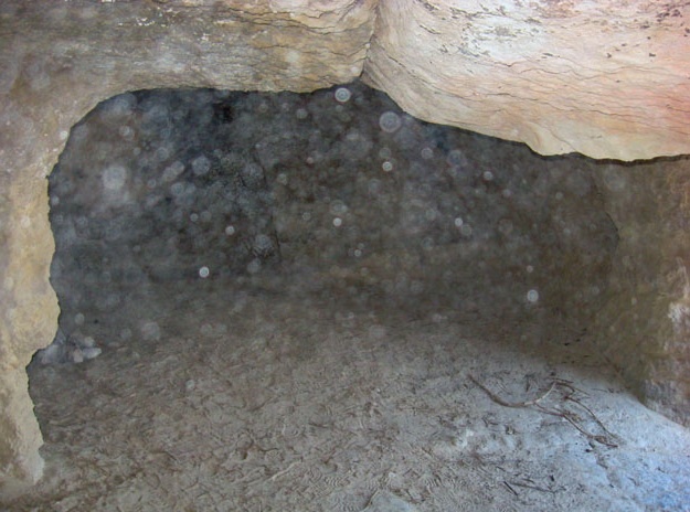 Орбы можно встретить повсюду. (Фото: img1.liveinternet.ru).