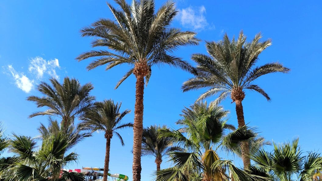    Maksim Konstantinov/Global Look Press/Globallookpress