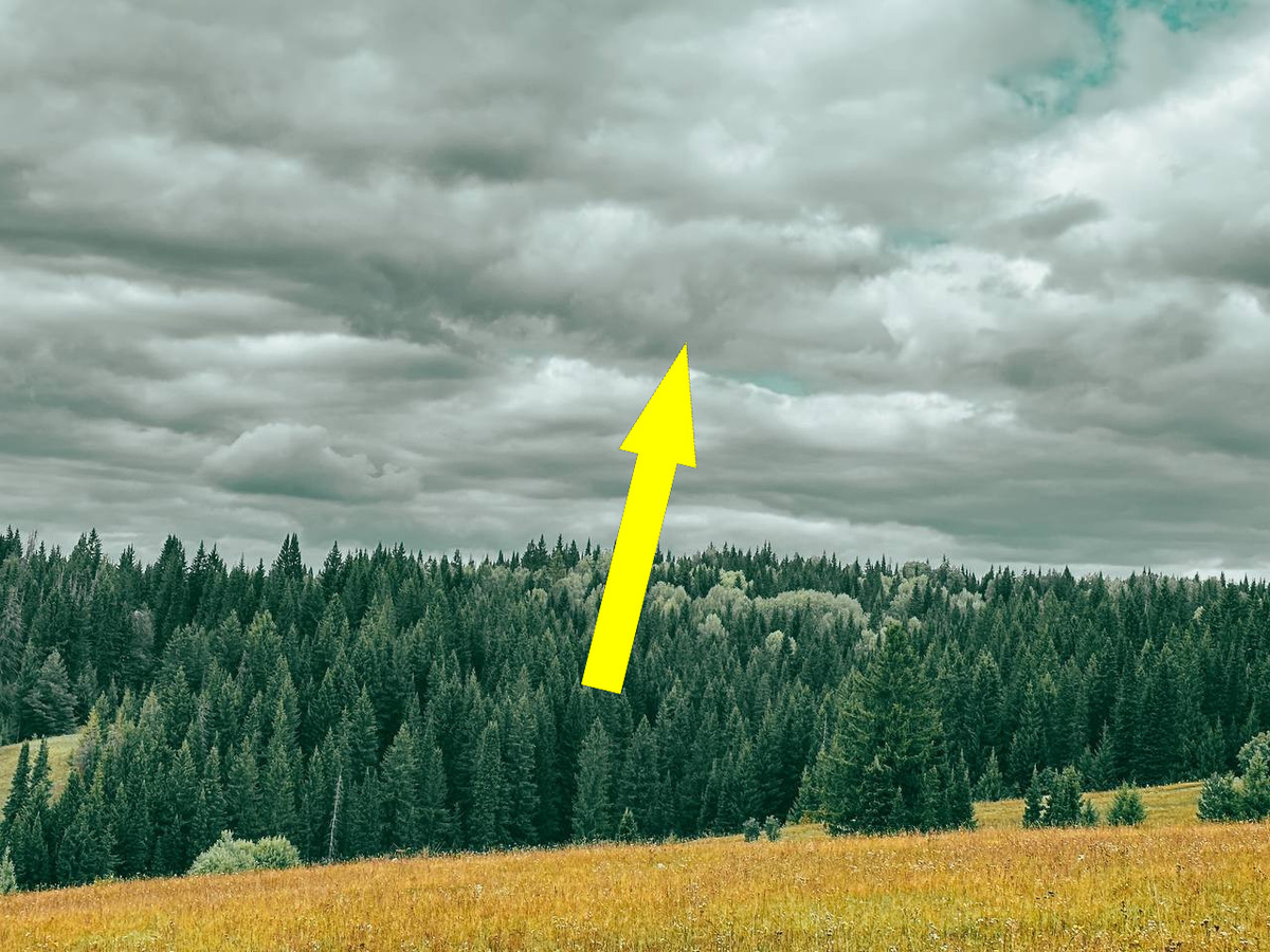    Тайна Молебского треугольника: исчезновения в уральской тайге