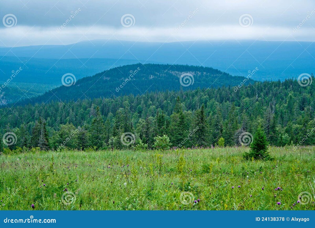    Тайна Молебского треугольника: исчезновения в уральской тайге