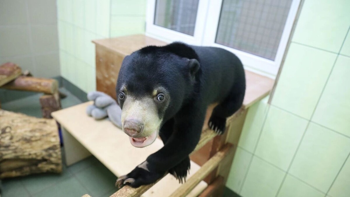    Фото: www.moscowzoo.ru