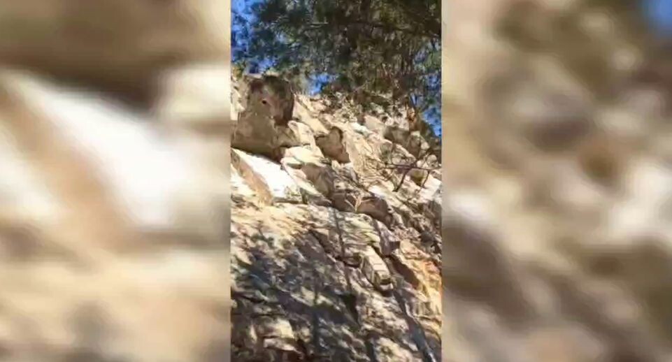    Пресс-служба МЧС